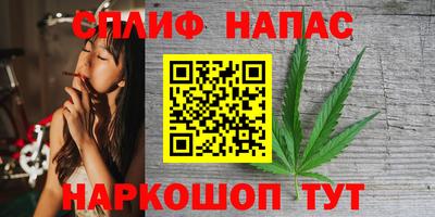эйфоретик Кингисепп