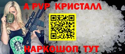 эйфоретик Кингисепп