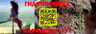 эйфоретик Кингисепп