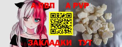 эйфоретик Кингисепп