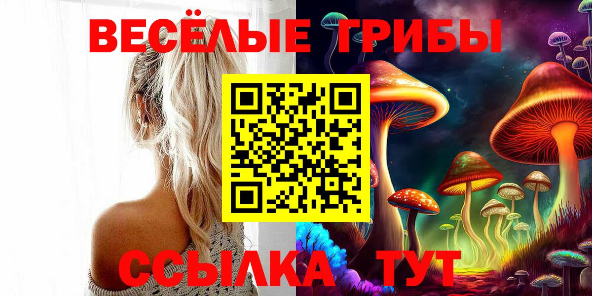 Галлюциногенные грибы мицелий  Вход с VPN  Щёлково  Псилоцибиновые грибы Cubensis 